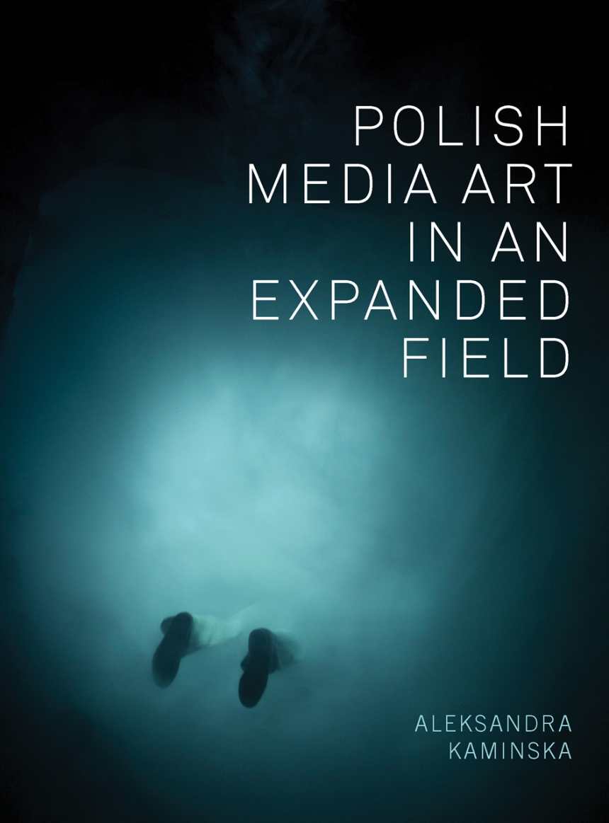 Polish Media Art in an Expanded Field