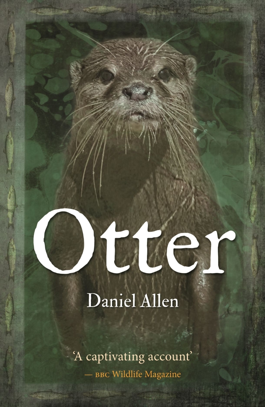 Otter