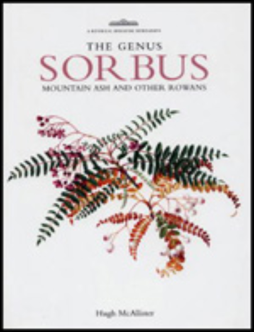 Genus Sorbus: mountain ash and other rowans