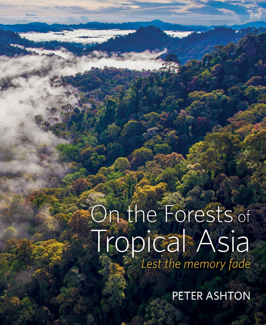 On the Forests of Tropical Asia