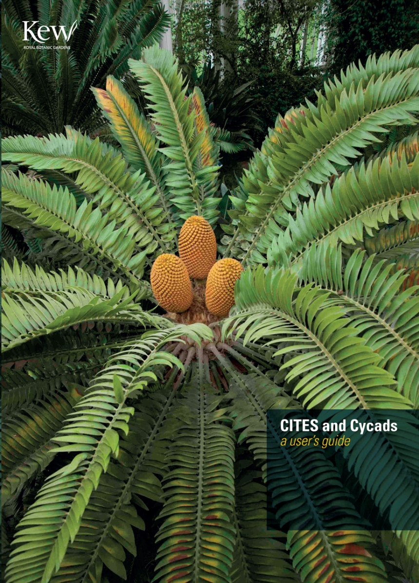 CITES and Cycads