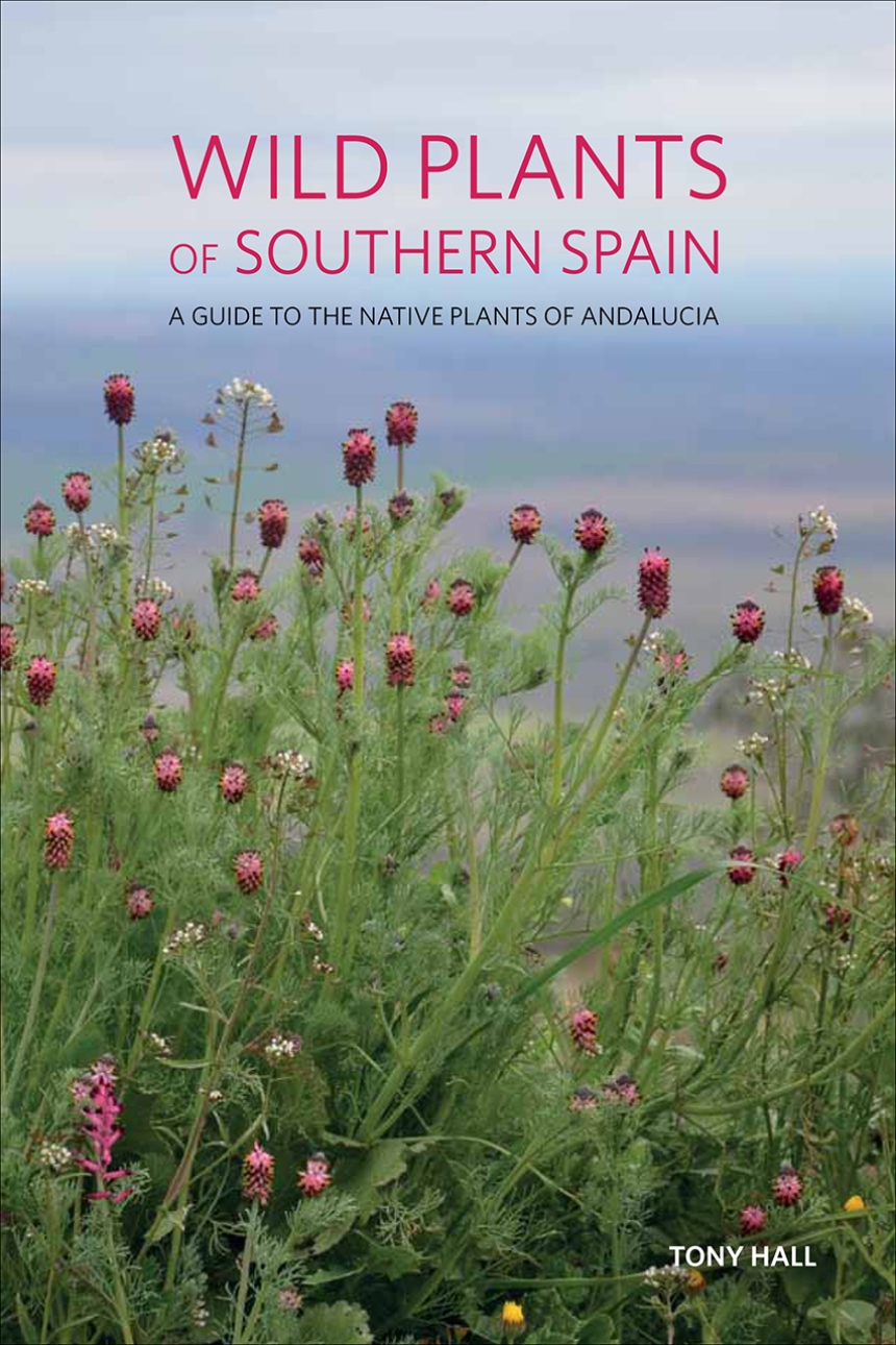 Wild Plants of Southern Spain