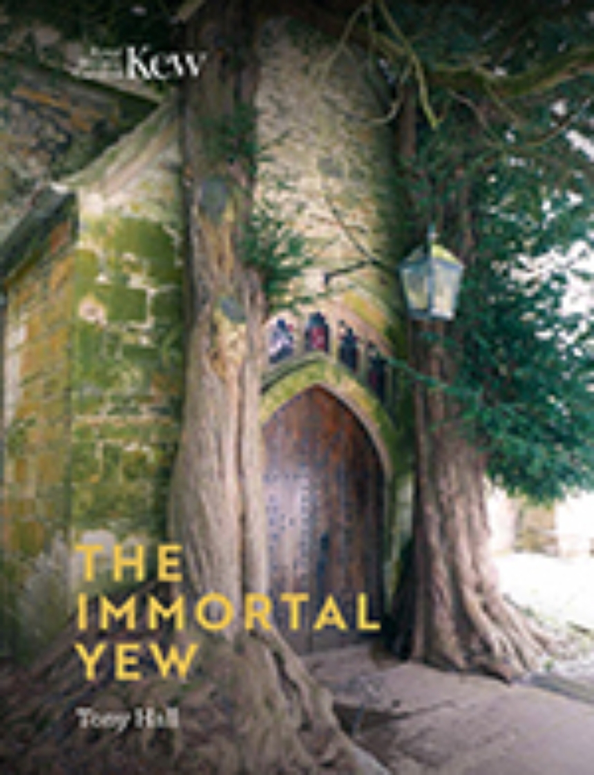 The Immortal Yew
