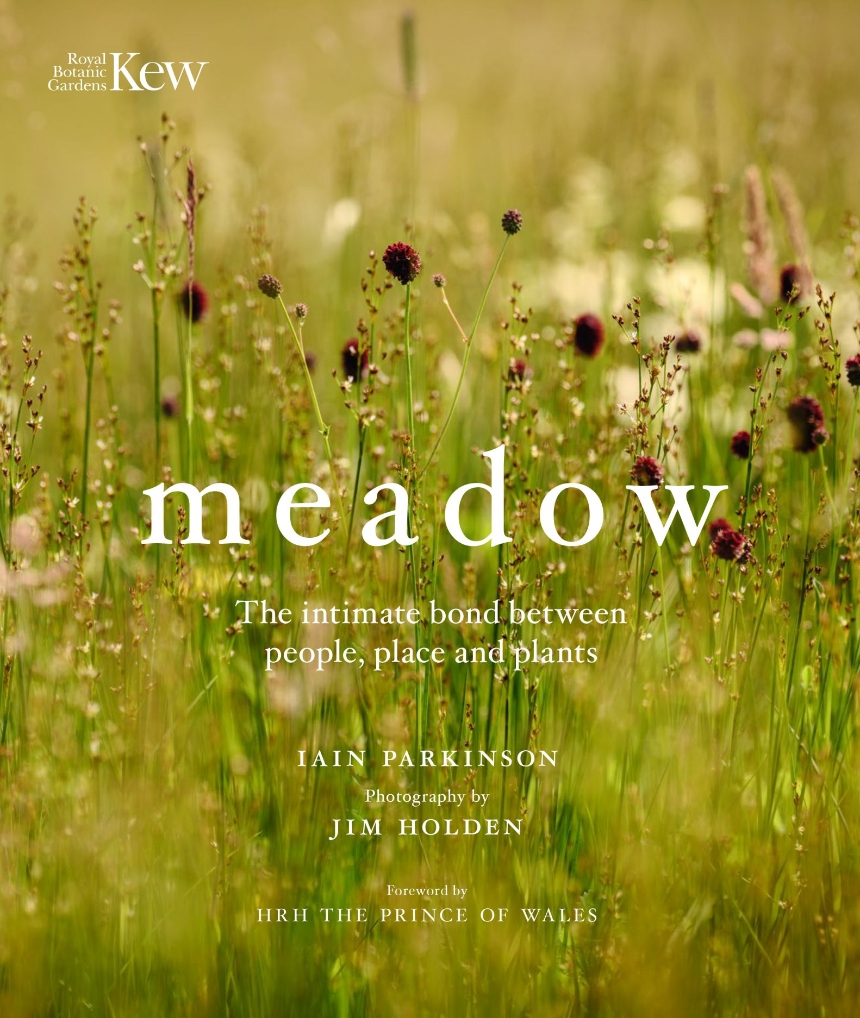 Meadow