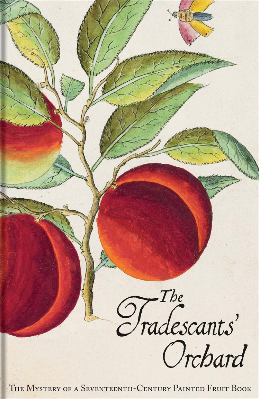 The Tradescants’ Orchard