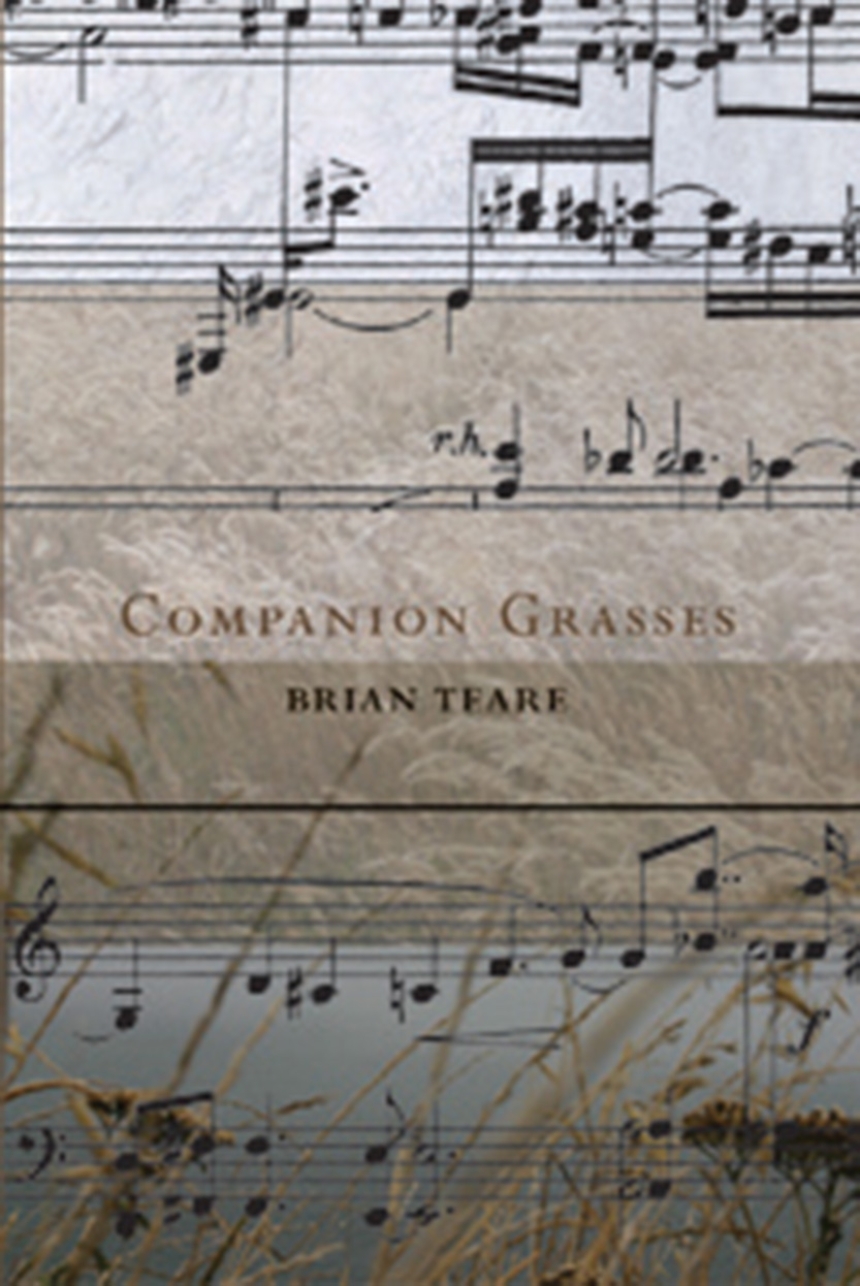 Companion Grasses