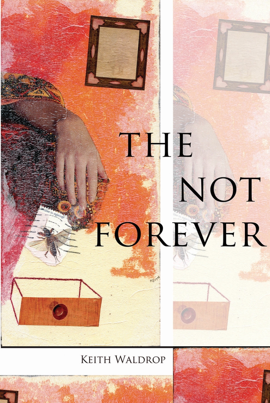 The Not Forever