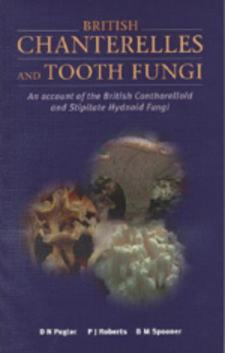 British Chanterelles and Tooth Fungi