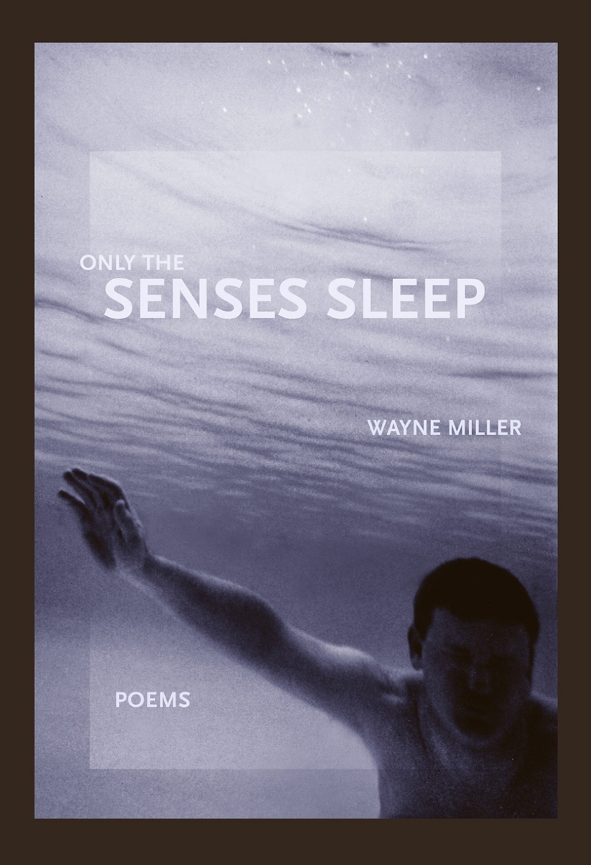 Only the Senses Sleep