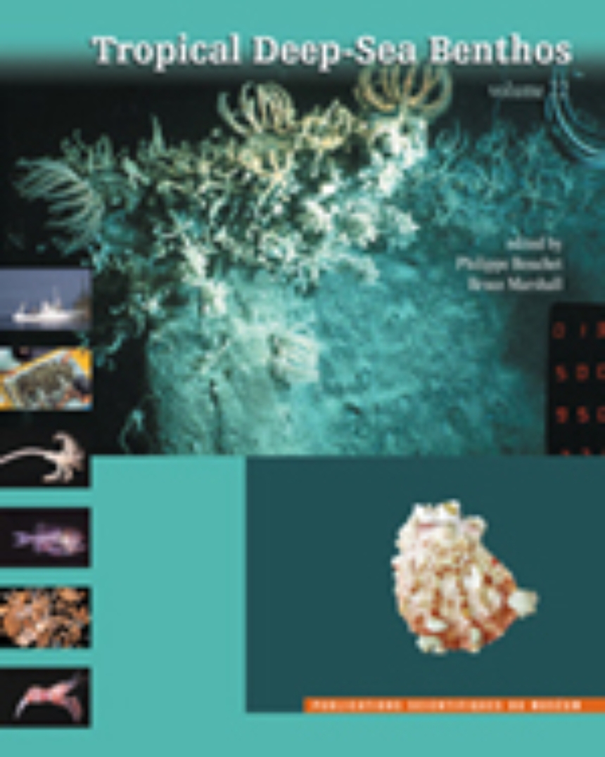 Tropical Deep-Sea Benthos, volume 22