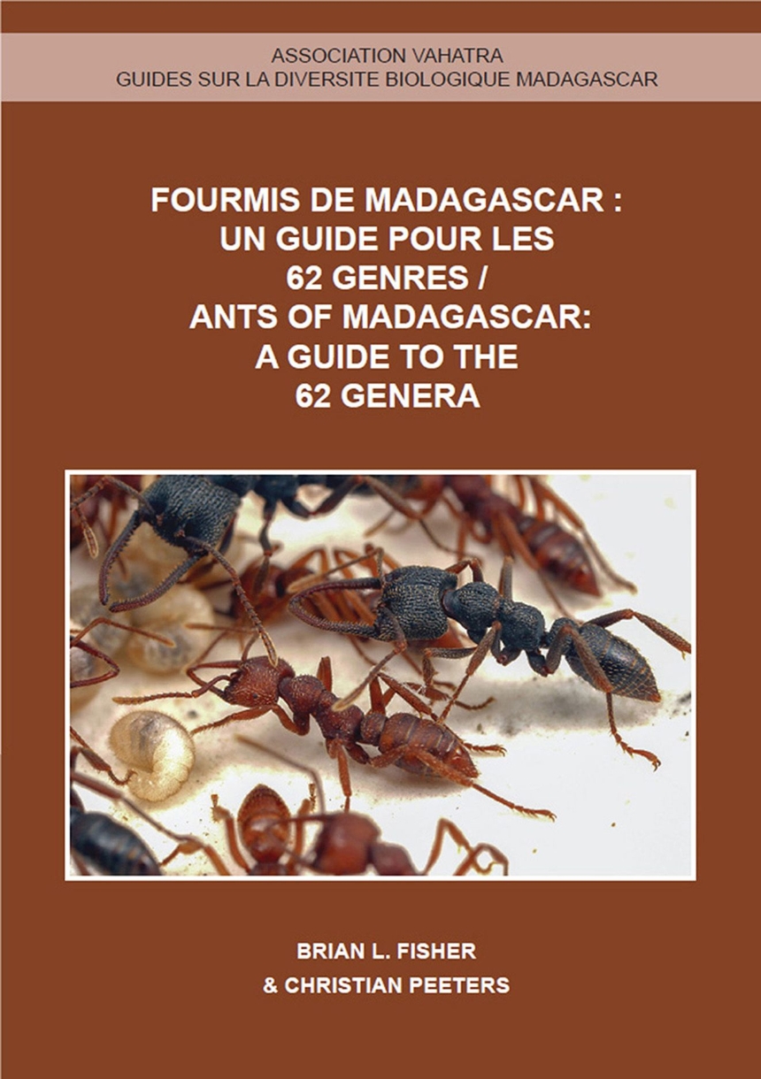 Ants of Madagascar: A Guide to the 62 Genera