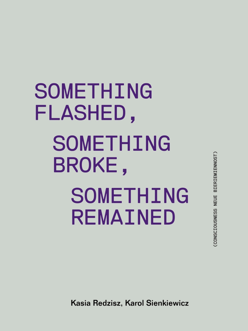 Something Flashed, Something Broke, Something Remained