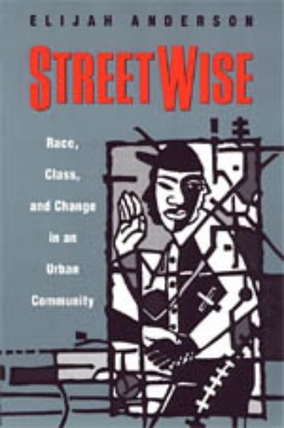 Streetwise: Race, Class, and Change in an Urban Community