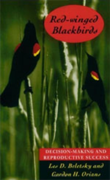 Red-winged Blackbirds: Decision-making and Reproductive Success