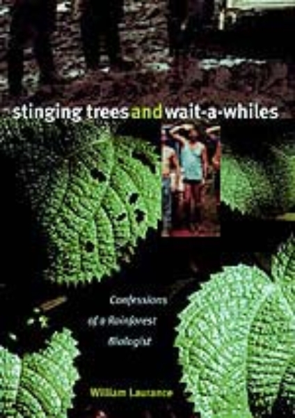 Stinging Trees and Wait-a-Whiles: Confessions of a Rainforest Biologist