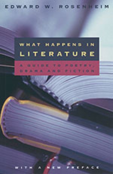 What Happens in Literature