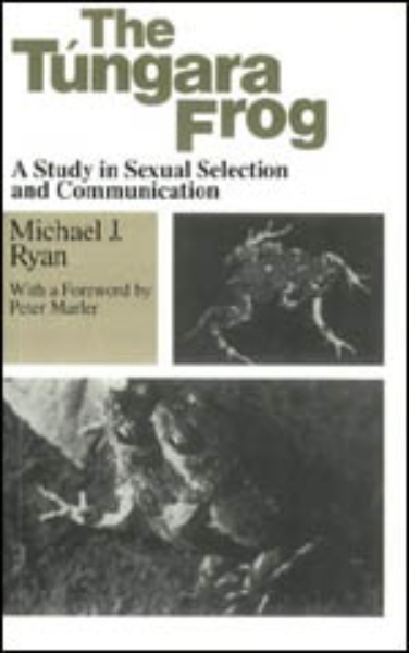 The Tungara Frog: A Study in Sexual Selection and Communication