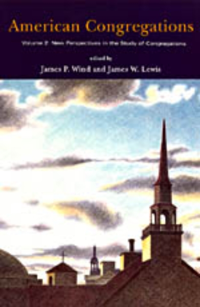 American Congregations, Volume 2: New Perspectives in the Study of Congregations