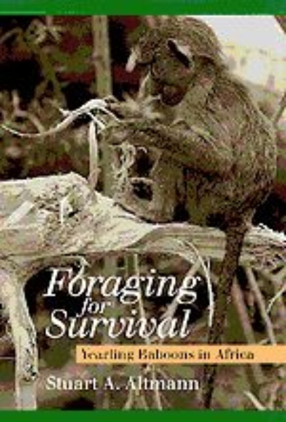 Foraging for Survival: Yearling Baboons in Africa