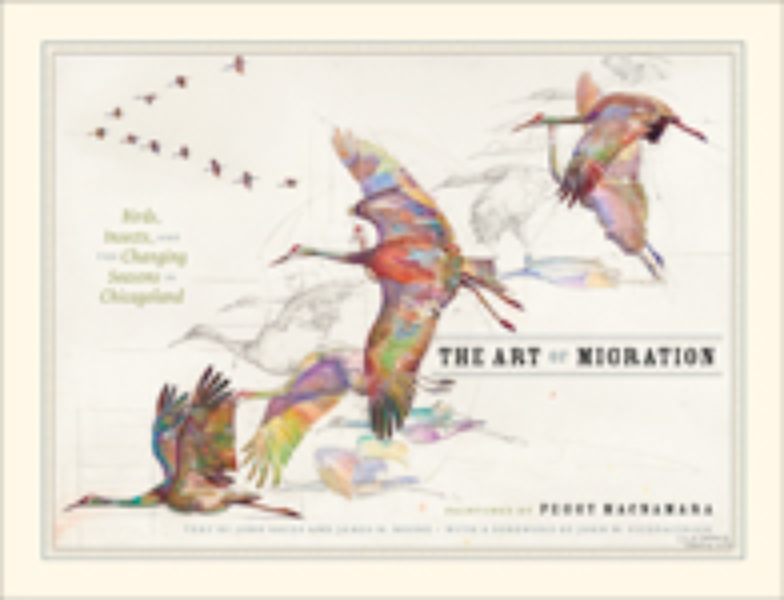 The Art of Migration: Birds, Insects, and the Changing Seasons in Chicagoland