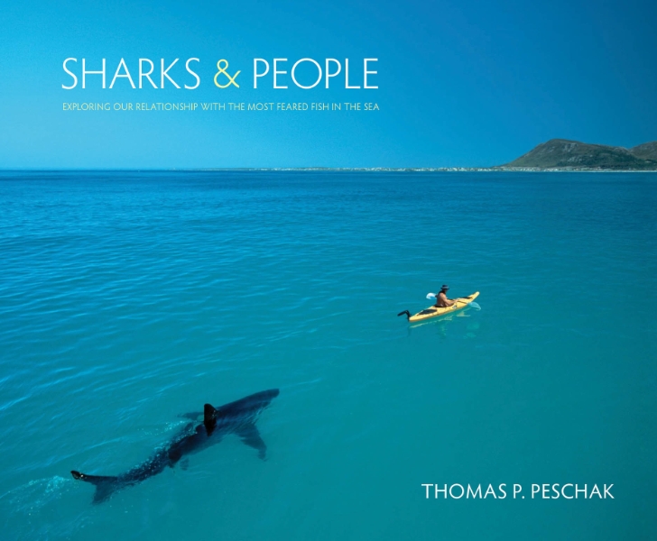 Sharks and People: Exploring Our Relationship with the Most Feared Fish in the Sea