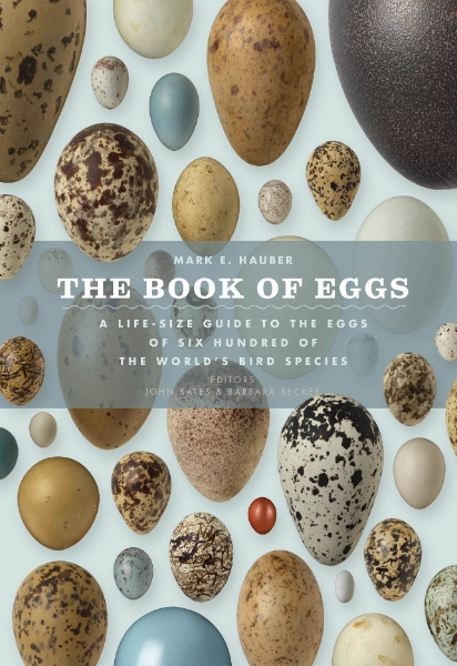 The Book of Eggs: A Life-Size Guide to the Eggs of Six Hundred of the World’s Bird Species