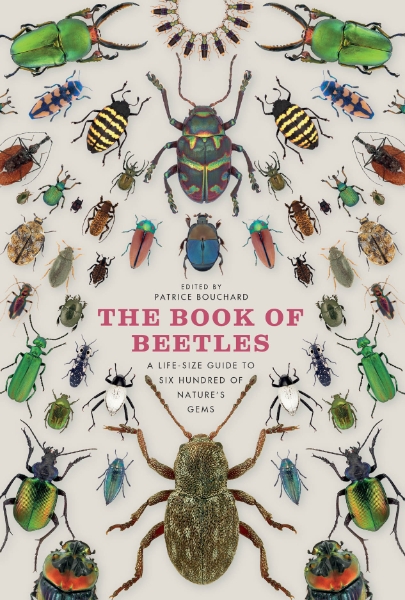 The Book of Beetles: A Life-Size Guide to Six Hundred of Nature’s Gems