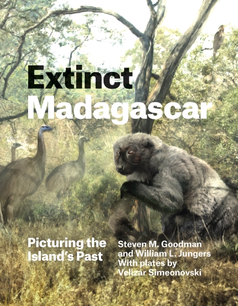 Extinct Madagascar: Picturing the Island’s Past