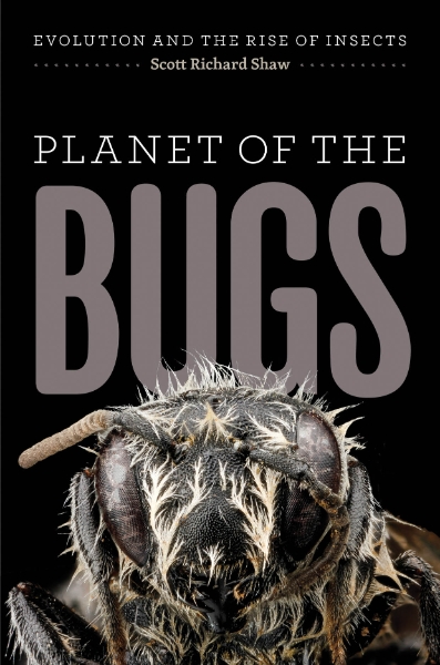 Planet of the Bugs: Evolution and the Rise of Insects