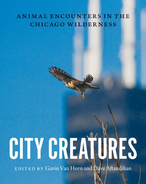 City Creatures: Animal Encounters in the Chicago Wilderness