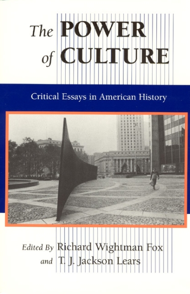 The Power of Culture: Critical Essays in American History