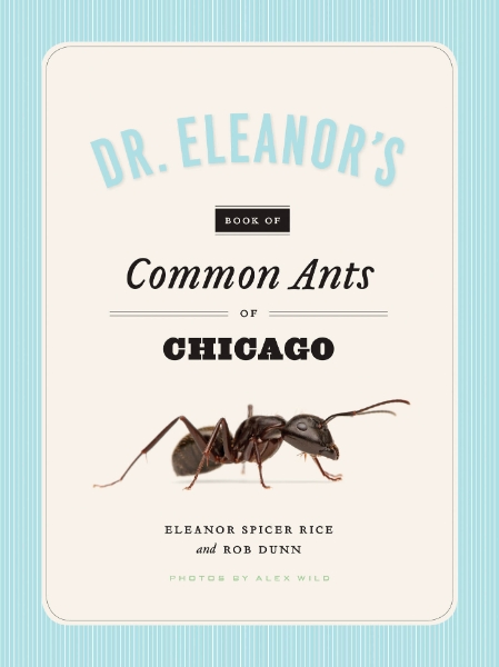 Dr. Eleanor’s Book of Common Ants of Chicago