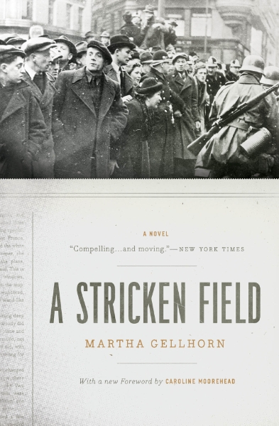 A Stricken Field: A Novel
