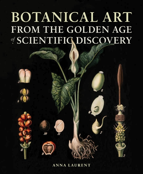 Botanical Art from the Golden Age of Scientific Discovery