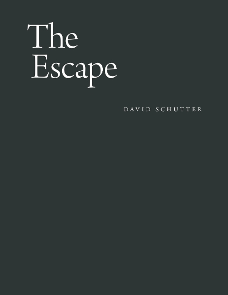 The Escape: From a Seventeenth-Century Drawing Manual of the Face and Its Expressions