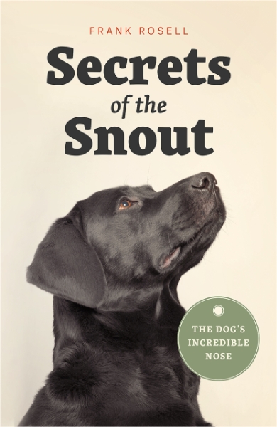 Secrets of the Snout: The Dog’s Incredible Nose