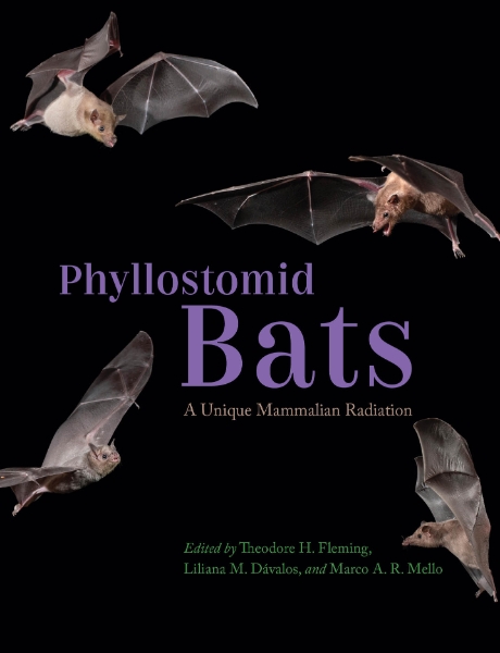Phyllostomid Bats: A Unique Mammalian Radiation