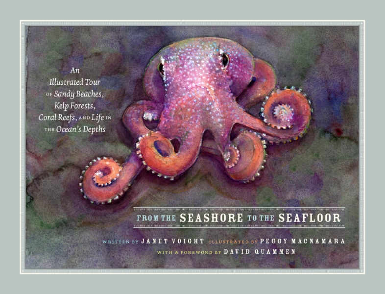 From the Seashore to the Seafloor: An Illustrated Tour of Sandy Beaches, Kelp Forests, Coral Reefs, and Life in the Ocean’s Depths