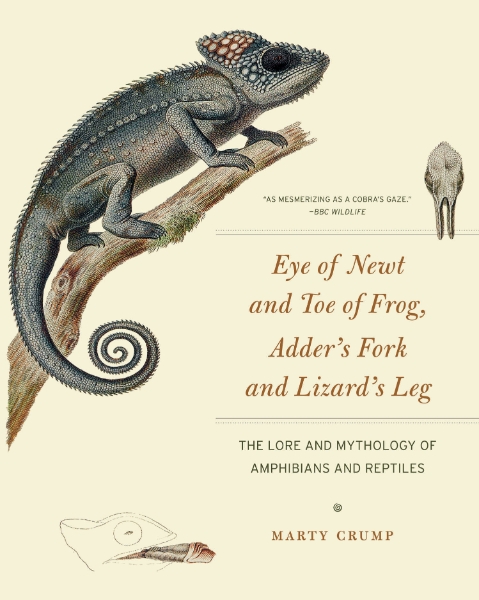 Eye of Newt and Toe of Frog, Adder’s Fork and Lizard’s Leg: The Lore and Mythology of Amphibians and Reptiles