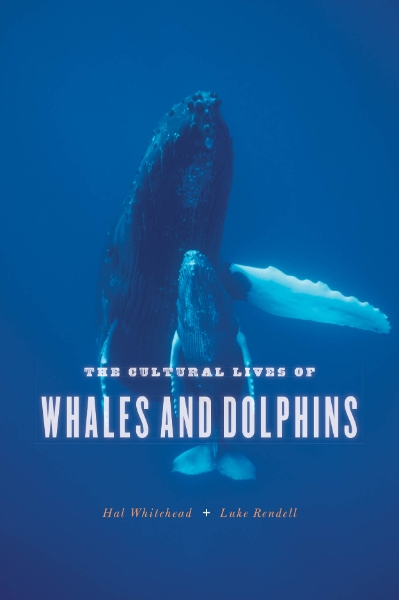 The Cultural Lives of Whales and Dolphins