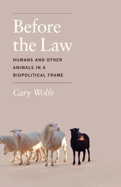 Before the Law: Humans and Other Animals in a Biopolitical Frame