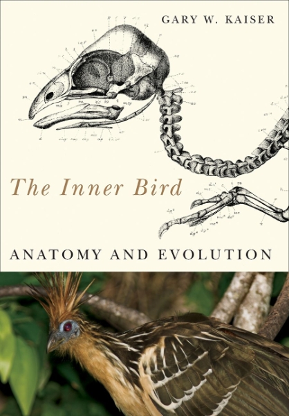 The Inner Bird: Anatomy and Evolution
