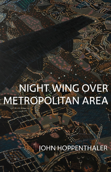 Night Wing over Metropolitan Area