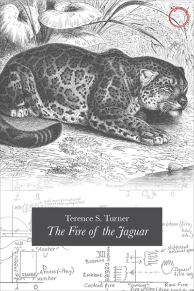The Fire of the Jaguar
