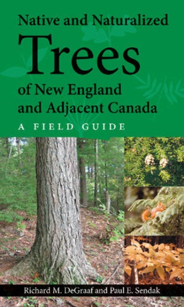 Native and Naturalized Trees of New England and Adjacent Canada: A Field Guide