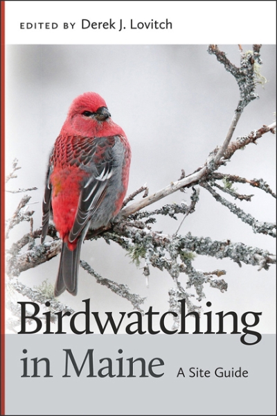 Birdwatching in Maine: A Site Guide