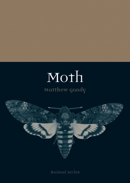 Book cover with a black and white moth.