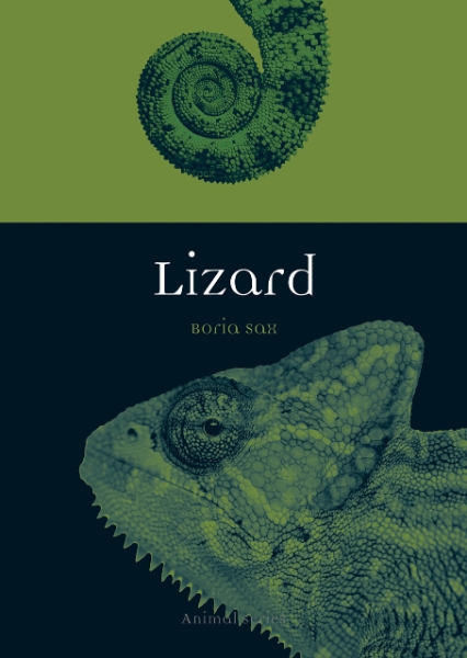 Book cover with a green lizard. Links to catalog record.