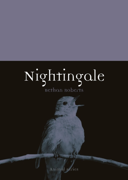 Book cover with a purple nightingale.