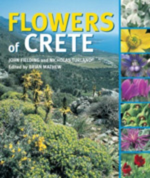 Flowers of Crete